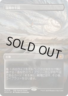 湿地の干潟/Marsh - カードラッシュ[MTG]