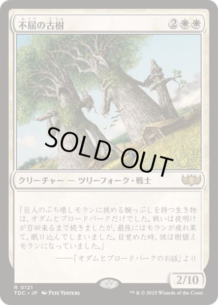 画像1: [EX+]不屈の古樹/Indomitable Ancients《日本語》【TDC】 (1)