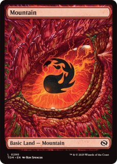 タルキール：龍嵐録 - カードラッシュ[MTG]