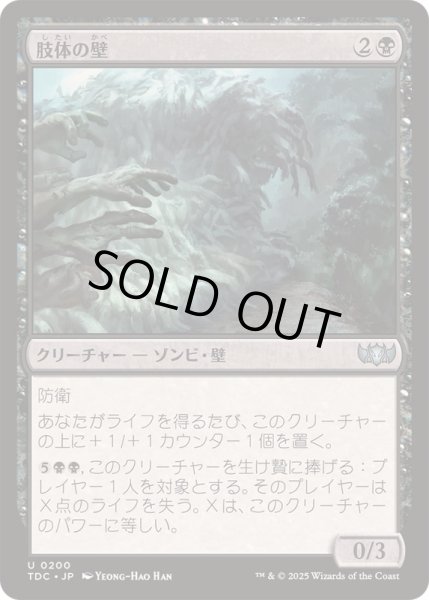画像1: [EX+]肢体の壁/Wall of Limbs《日本語》【TDC】 (1)