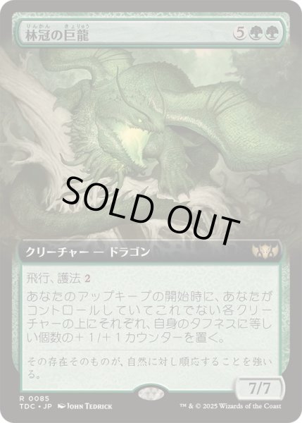 画像1: (フルアート)林冠の巨龍/Canopy Gargantuan《日本語》【TDC】 (1)
