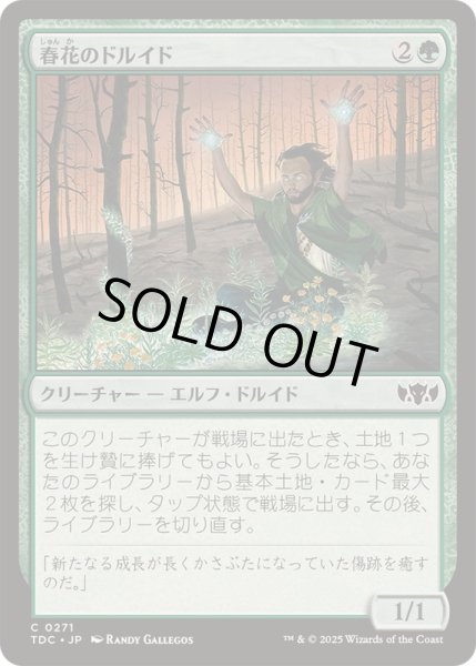 画像1: [EX+]春花のドルイド/Springbloom Druid《日本語》【TDC】 (1)