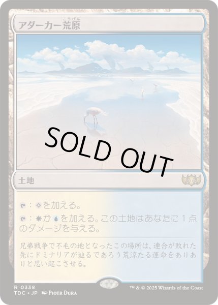 画像1: [EX+]アダーカー荒原/Adarkar Wastes《日本語》【TDC】 (1)