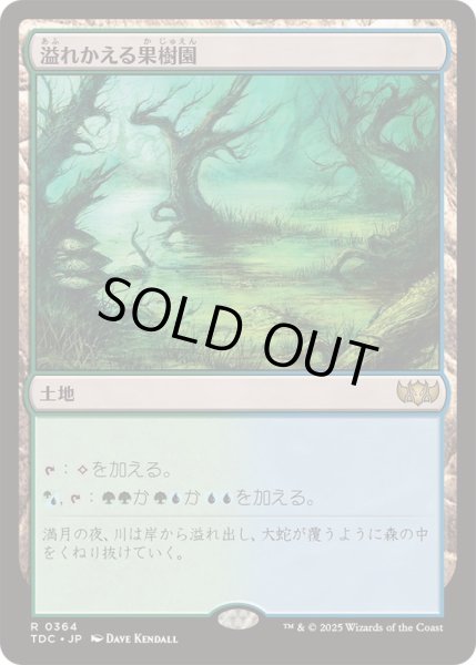 画像1: [EX+]溢れかえる果樹園/Flooded Grove《日本語》【TDC】 (1)