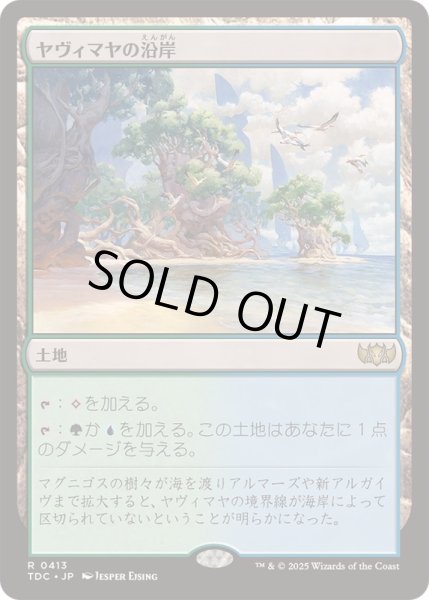画像1: [EX+]ヤヴィマヤの沿岸/Yavimaya Coast《日本語》【TDC】 (1)