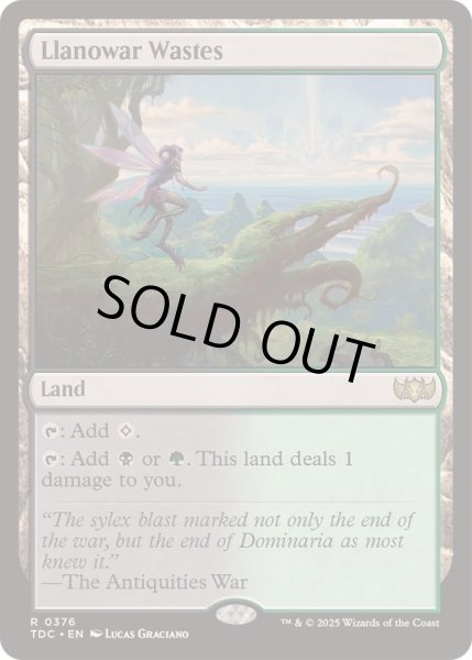 画像1: ラノワールの荒原/Llanowar Wastes《英語》【TDC】 (1)