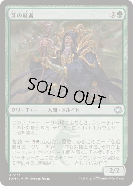 画像1: [EX+](FOIL)牙の賢者/Sage of the Fang《日本語》【TDM】 (1)