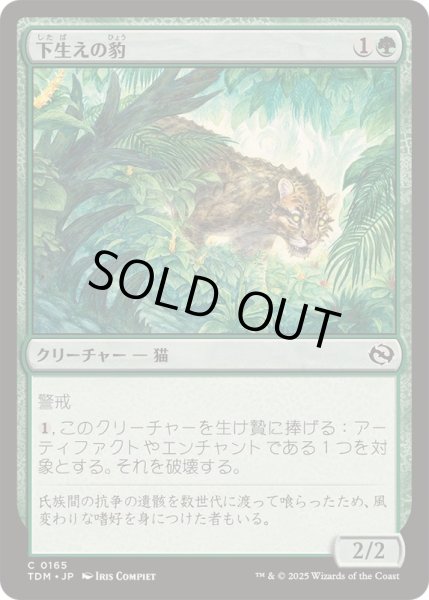 画像1: [EX+]下生えの豹/Undergrowth Leopard《日本語》【TDM】 (1)