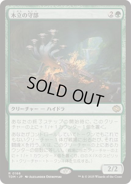 画像1: [EX+](FOIL)木立の守部/Warden of the Grove《日本語》【TDM】 (1)