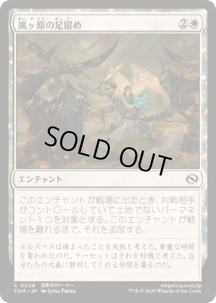 画像1: [EX+](FOIL)嵐ヶ原の足留め/Stormplain Detainment《日本語》【TDM】 (1)