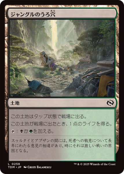 画像1: (FOIL)ジャングルのうろ穴/Jungle Hollow《日本語》【TDM】 (1)