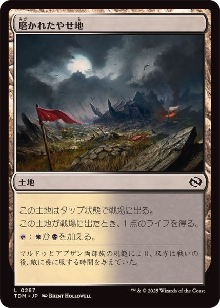 画像1: (FOIL)磨かれたやせ地/Scoured Barrens《日本語》【TDM】 (1)
