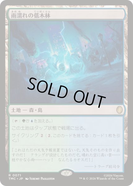 画像1: [EX+]雨濡れの低木林/Rain-Slicked Copse《日本語》【TMC】 (1)