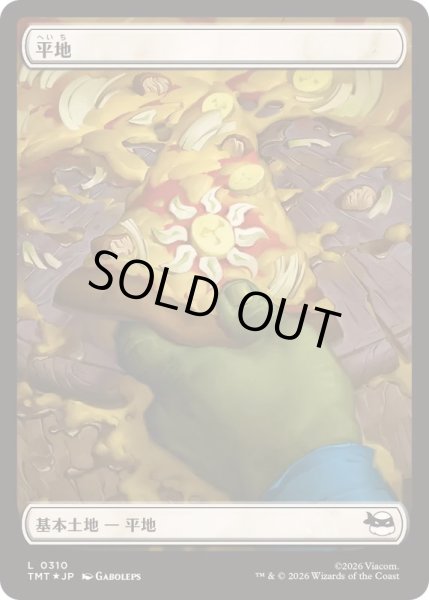 画像1: (サージFOIL)(0310)平地/Plains《日本語》【TMT】 (1)