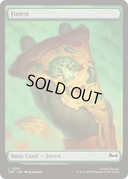 画像1: [EX+](フルアート)(0257)森/Forest《英語》【TMT】 (1)