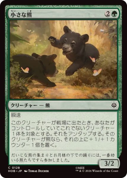 画像1: (FOIL)小さな熊/Little Bear《日本語》【HOB】 (1)