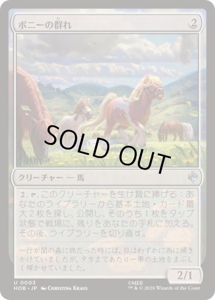 画像1: ポニーの群れ/Troop of Ponies《日本語》【HOB】 (1)