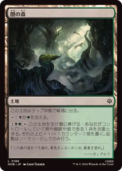 画像1: (FOIL)闇の森/Mirkwood《日本語》【HOB】 (1)