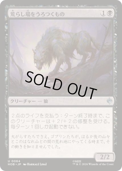 画像1: [EX+]荒らし場をうろつくもの/Desolation Prowler《日本語》【HOB】 (1)