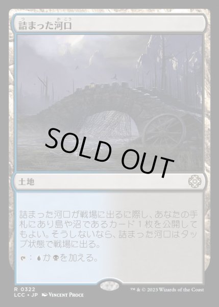 画像1: [EX+]詰まった河口/Choked Estuary《日本語》【LCC】 (1)