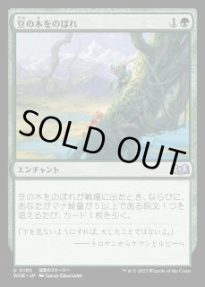 豆の木をのぼれ - カードラッシュ[MTG]