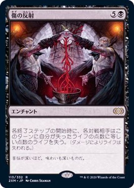 画像1: [EX+]傷の反射/Wound Reflection《日本語》【2XM】 (1)