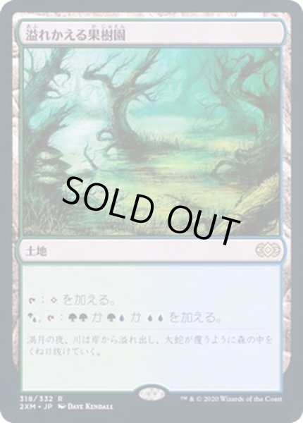 画像1: [EX]溢れかえる果樹園/Flooded Grove《日本語》【2XM】 (1)