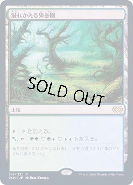 画像1: [EX](FOIL)溢れかえる果樹園/Flooded Grove《日本語》【2XM】 (1)