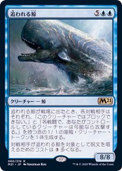 画像1: [EX+]追われる鯨/Pursued Whale《日本語》【M21】 (1)