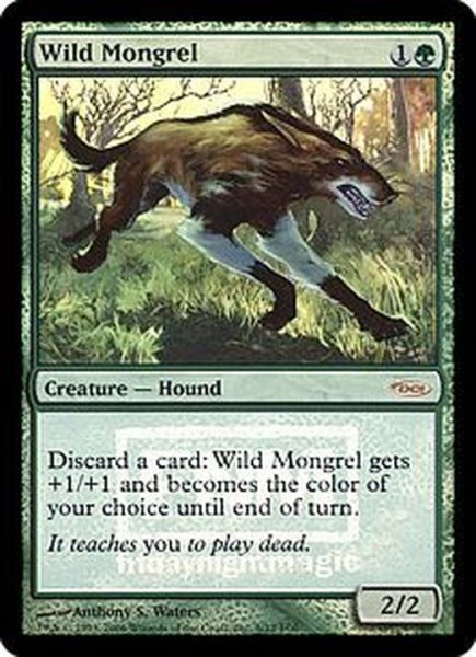 画像1: [EX+](FOIL)野生の雑種犬/Wild Mongrel《英語》【FNM Promos】 (1)