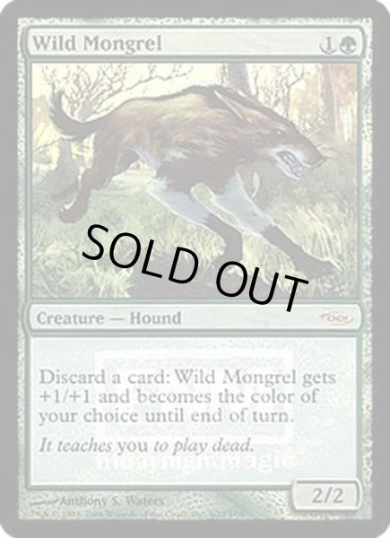 画像1: (FOIL)野生の雑種犬/Wild Mongrel《英語》【FNM Promos】 (1)