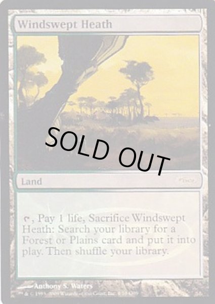 画像1: (FOIL)吹きさらしの荒野/Windswept Heath《英語》【Judge Promos】 (1)