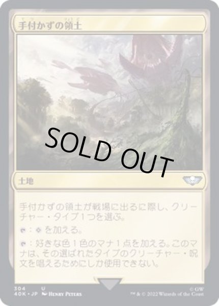 画像1: 手付かずの領土/Unclaimed Territory《日本語》【40K】 (1)