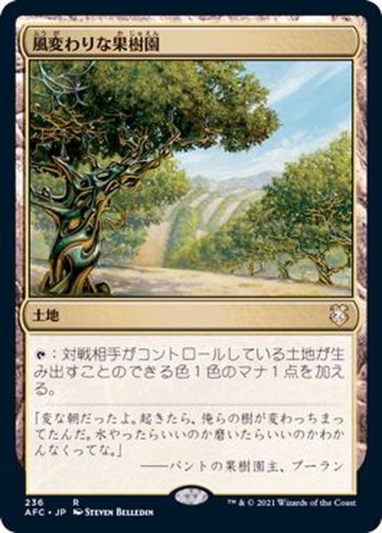 画像1: 風変わりな果樹園/Exotic Orchard《日本語》【AFC】 (1)