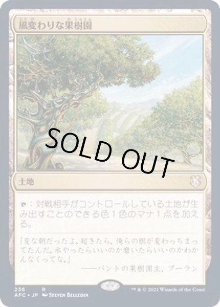 画像1: [EX]風変わりな果樹園/Exotic Orchard《日本語》【AFC】 (1)