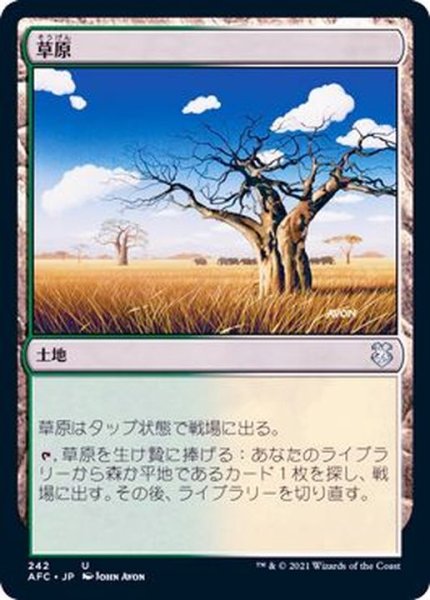 画像1: 草原/Grasslands《日本語》【AFC】 (1)