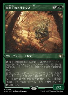フレッシュの複製体/Flesh Duplicate 英語一枚 EX+]フレッシュの複製体/Flesh Duplicate《英語》【WHO】