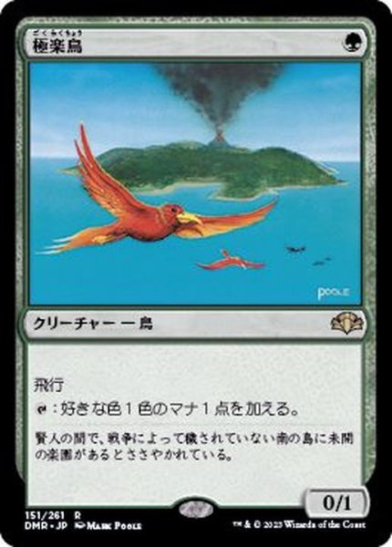 画像1: (FOIL)極楽鳥/Birds of Paradise《日本語》【DMR】 (1)