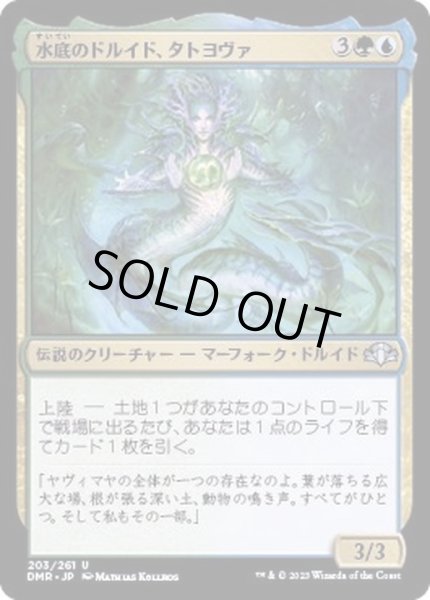 画像1: 水底のドルイド、タトヨヴァ/Tatyova, Benthic Druid《日本語》【DMR】 (1)