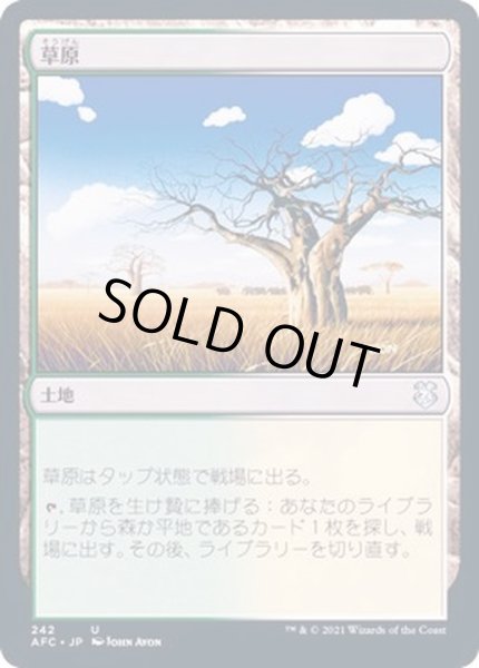 画像1: 草原/Grasslands《日本語》【Duel Decks: Knights vs. Dragons】 (1)