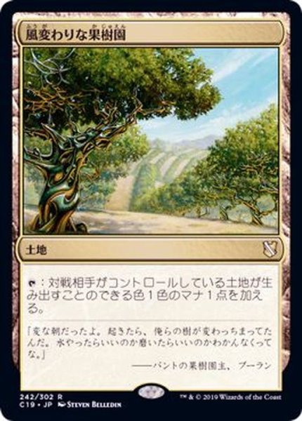 画像1: 風変わりな果樹園/Exotic Orchard《日本語》【Commander 2019】 (1)