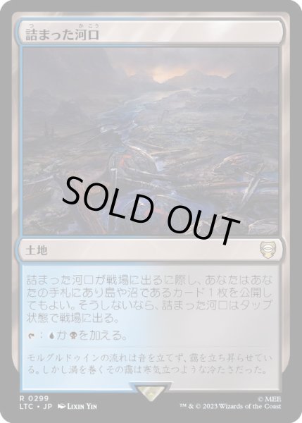 画像1: [EX+]詰まった河口/Choked Estuary《日本語》【LTC】 (1)