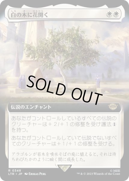 画像1: [EX+](FOIL)(フルアート)白の木に花開く/Flowering of the White Tree《日本語》【LTR】 (1)
