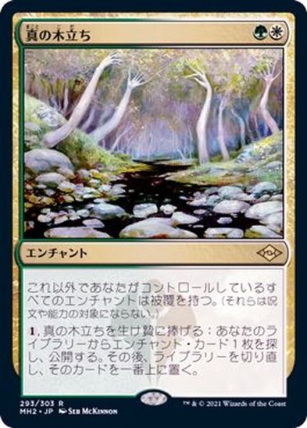 画像1: 真の木立ち/Sterling Grove《日本語》【MH2】 (1)