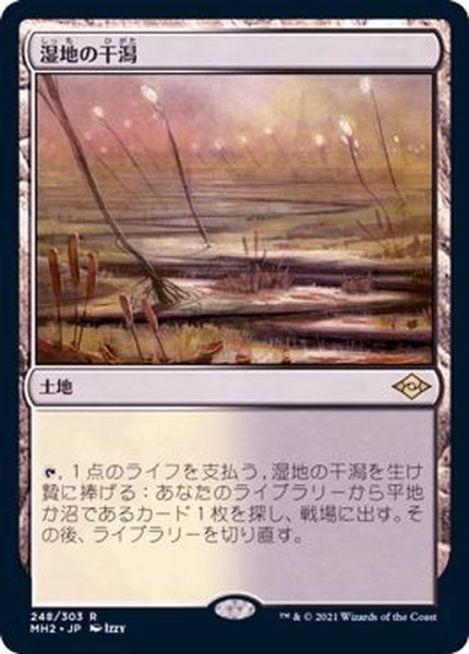 画像1: 湿地の干潟/Marsh Flats《日本語》【MH2】 (1)