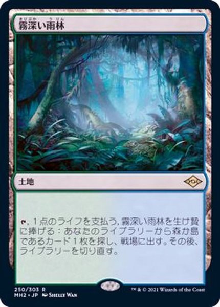 画像1: (FOIL)霧深い雨林/Misty Rainforest《日本語》【MH2】 (1)