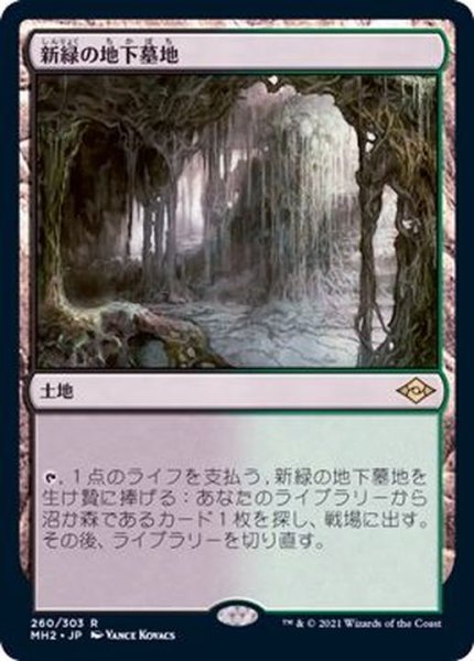 画像1: [EX](FOIL)新緑の地下墓地/Verdant Catacombs《日本語》【MH2】 (1)