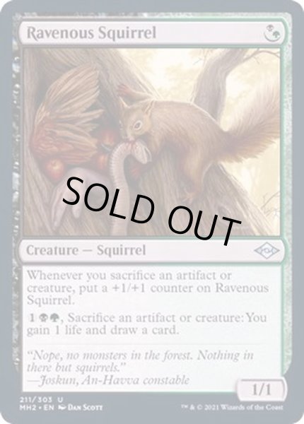 画像1: (FOIL)貪欲なるリス/Ravenous Squirrel《英語》【MH2】 (1)
