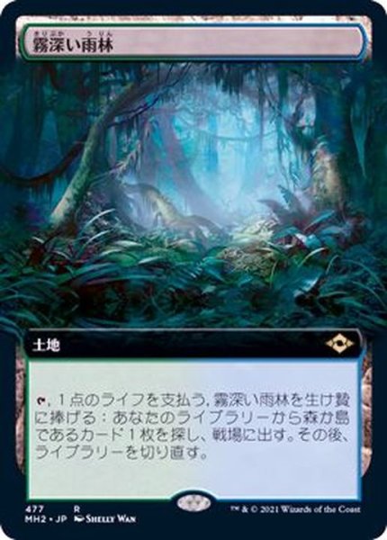 画像1: [EX+](フルアート)霧深い雨林/Misty Rainforest《日本語》【MH2】 (1)