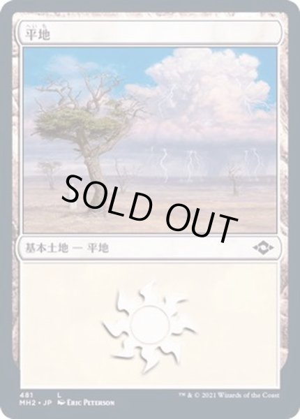 画像1: [EX+](エッチングFOIL)(481)平地/Plains《日本語》【MH2】 (1)